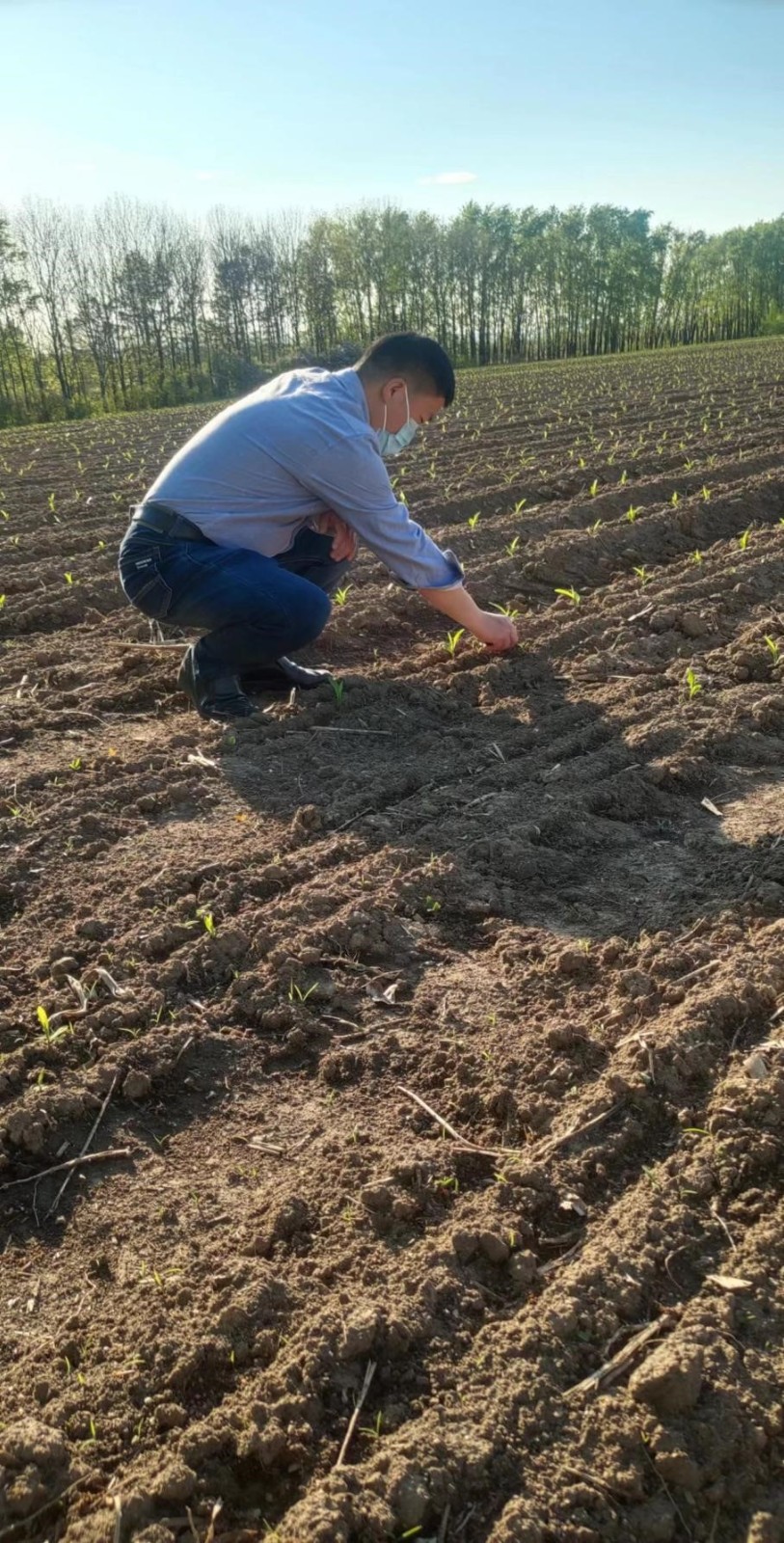 1664948097411886.jpg 2-6.jpg