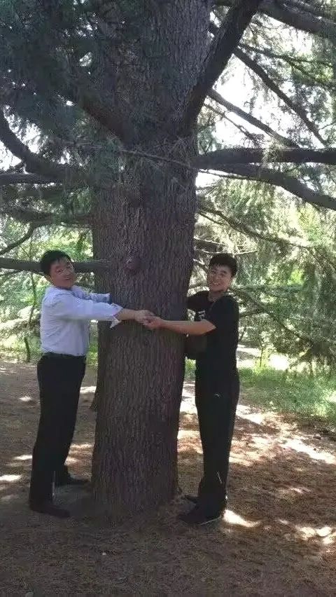 1750121811535915.jpg 17.jpg