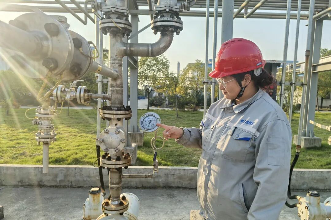 1764927970474324.jpg 1.jpg